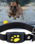 Pet GPS Tracking Collar