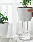 Self Watering Plastic Vase