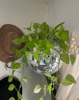 Disco Ball Hanging Vase