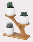 Owl Treetop Plant Pot