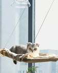 Hanging Cat Bed