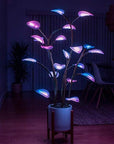 Magical LED Houseplant Lamp