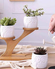 Owl Treetop Plant Pot