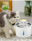 Pet Water Fountain