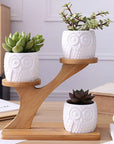 Owl Treetop Plant Pot