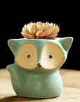 Fox Style Succulent Pot