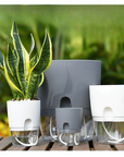 Double Layer Plastic Watering Pot