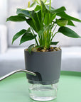 Double Layer Plastic Watering Pot