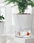 Self Watering Plastic Vase