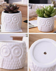 Owl Treetop Plant Pot